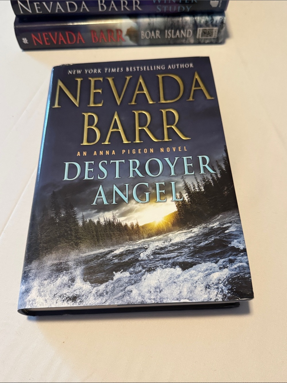 Destroyer Angel Hardcover Book - Blue